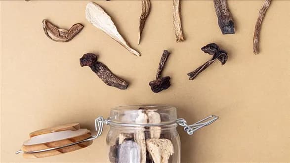 Sos z suszonych grzybów