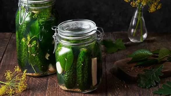 Ogórki kiszone — przepis tradycyjny