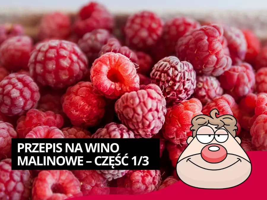 Jak zrobić wino z malin - prosty przepis na pyszne wino domowe