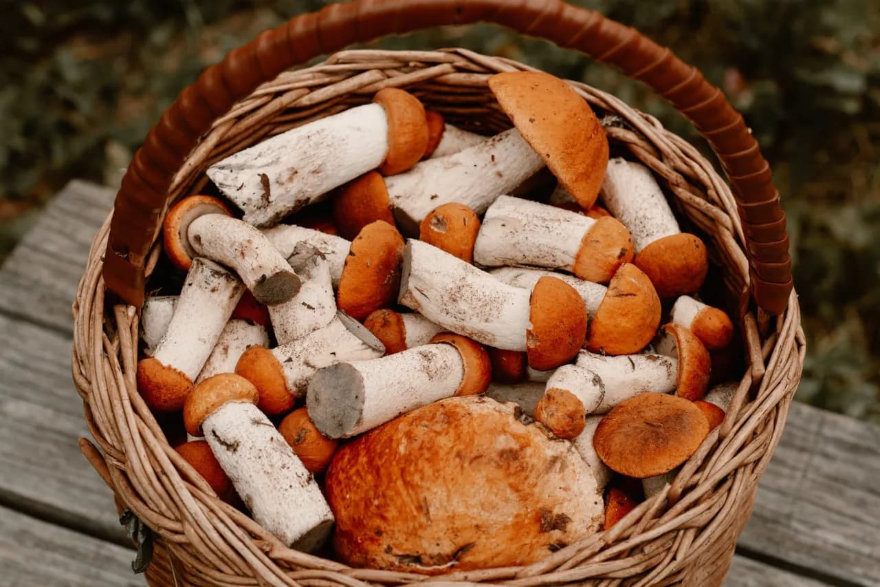 Unikaj tego błędu przy gotowaniu grzybów! Ile czasu potrzebują?
