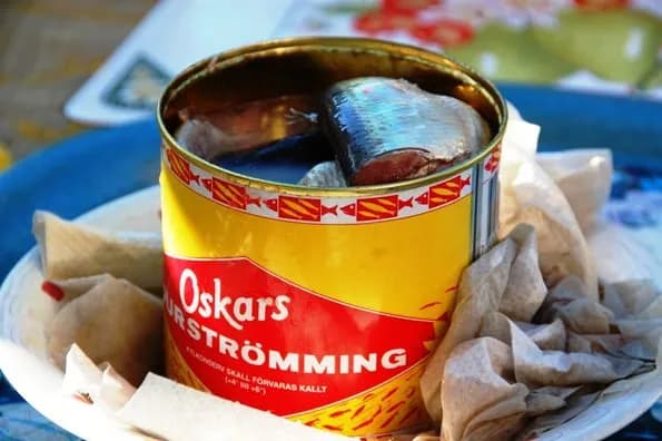 Śledzie szwedzkie! Poznajmy tajemnicę ich niepowtarzalnego smaku