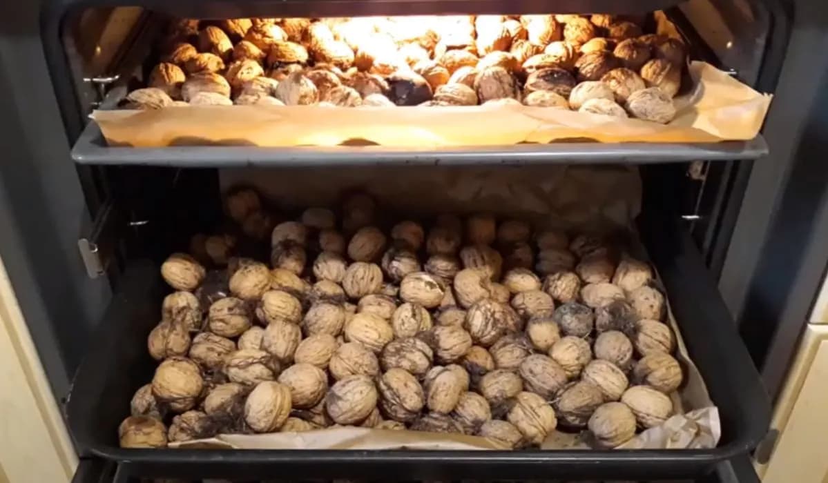Jak suszyć orzechy włoskie w piekarniku - prosta i skuteczna metoda