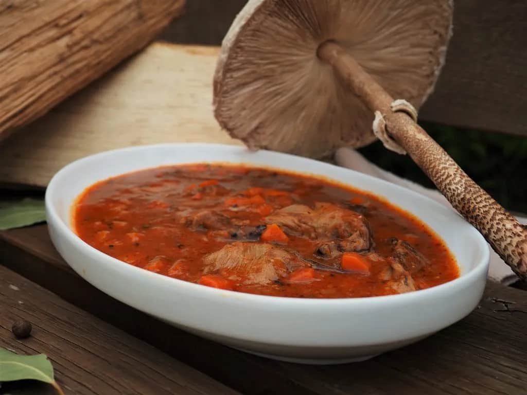 Oto przepisy z kani - co smacznego można zrobić z tych grzybów?