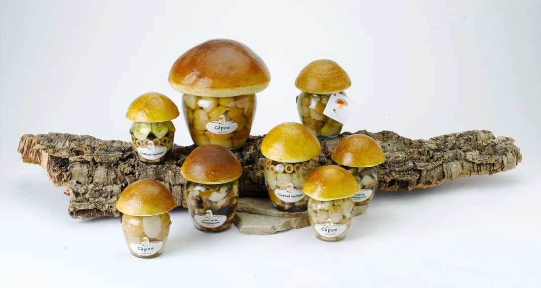 Grzyby we śnie - Odkryj tajemnicze piękno natury