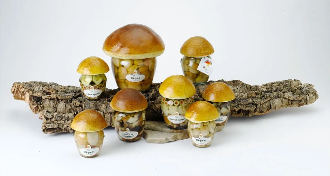 Grzyby we śnie - Odkryj tajemnicze piękno natury