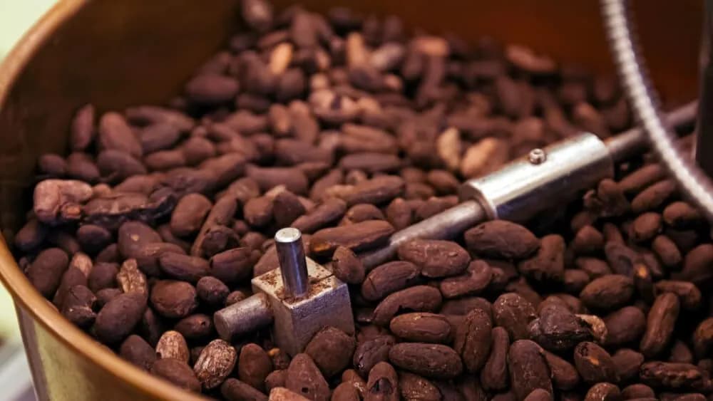 Jak powstaje czekolada ręcznie robiona: proces, etapy i tajniki produkcji