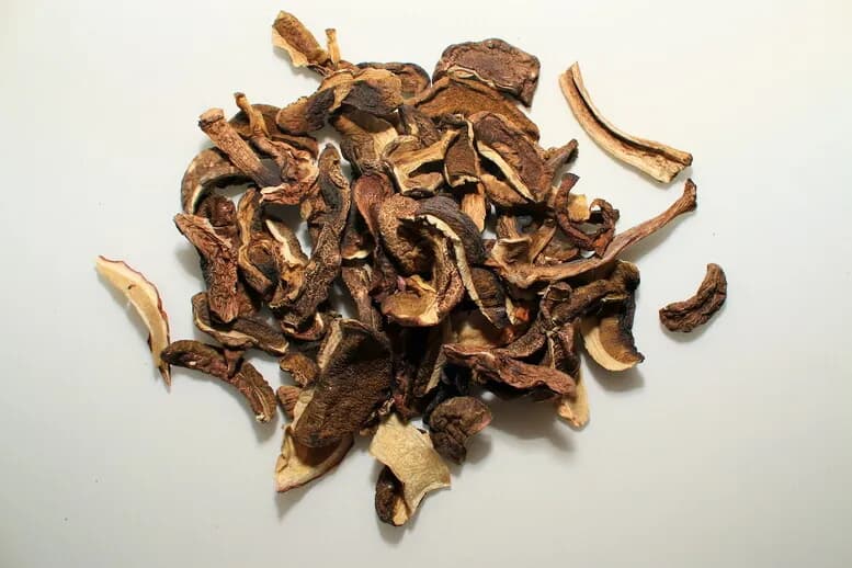 Czy można suszyć kanie? Obalamy te popularne mity o grzybach!