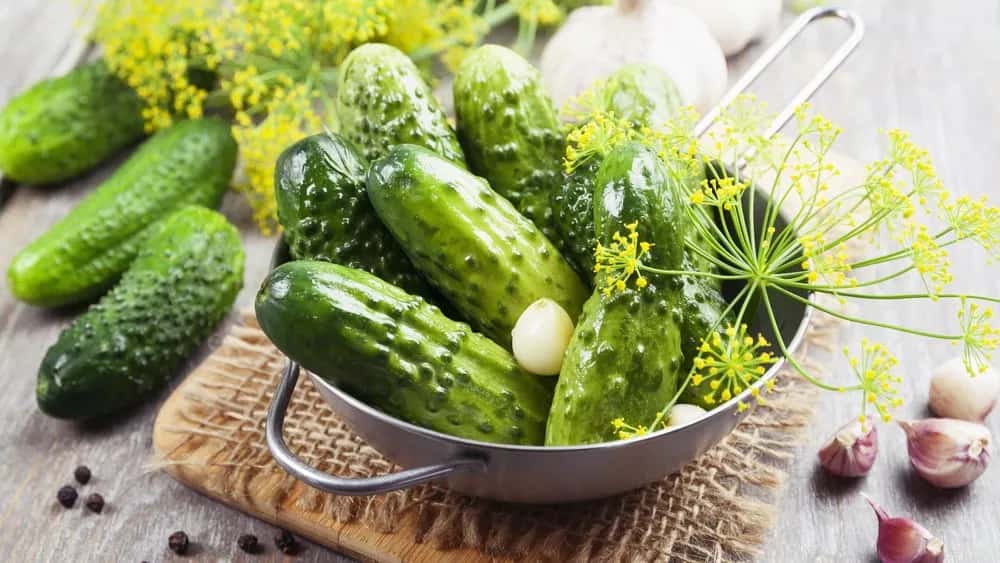 Praktyczny przewodnik kiszenia ogórków: ilość soli w pigułce