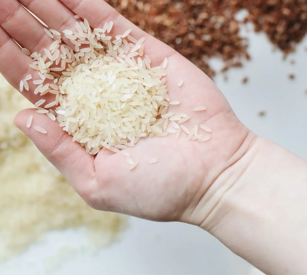 Ile ryżu do zupy pomidorowej - idealne proporcje, które zaskoczą